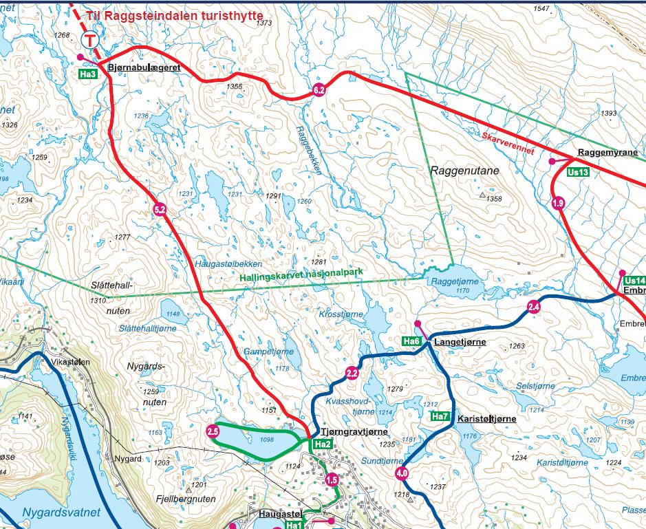 det kun lov å preparer løypa med snøskuter. Bakgrunn for søknaden er at tidene endrer seg og deres medlemmer i Haugastøl Vel stiller høyere krav til økt kvalitet på løypene.