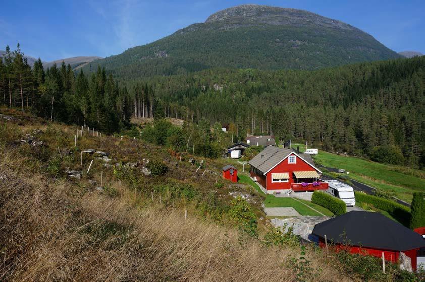 Side: 9 Figur 6. Terrenget er noe brattere mot sørvest. To mindre bekkefar går i søkket foran i bildet (punkt 677 og 676).