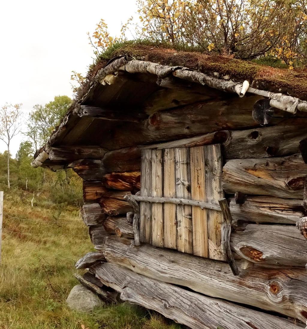 Nøkternhet preget fjellbonden, og det han bygda!