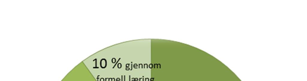 6 TILTAK FOR Å LUKKE GAP «Kompetanse er for alvorlig til å overlates til den enkelte leder» (Marianne Karlsen, kursholder og ansvarlig for Infotjenesters bedriftsinterne kurstilbud) Arbeidsplassen er