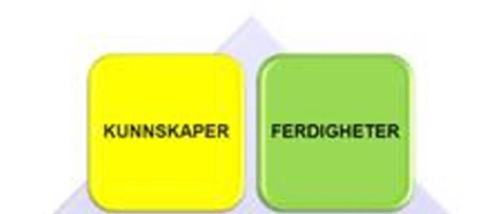 4 UTFORME KOMPETANSEKRAV «Medarbeidernes opplevelse av å få brukt egen kompetanse som har stor betydning for å handle, prestere og nå mål.