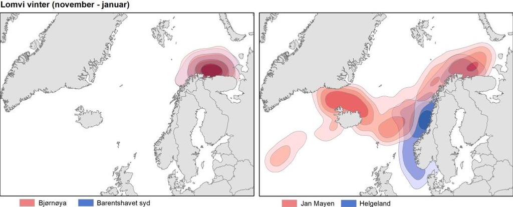 Sent på vinteren (februar til april) har lodda gytevandring inn mot kysten av Finnmark og Kola.