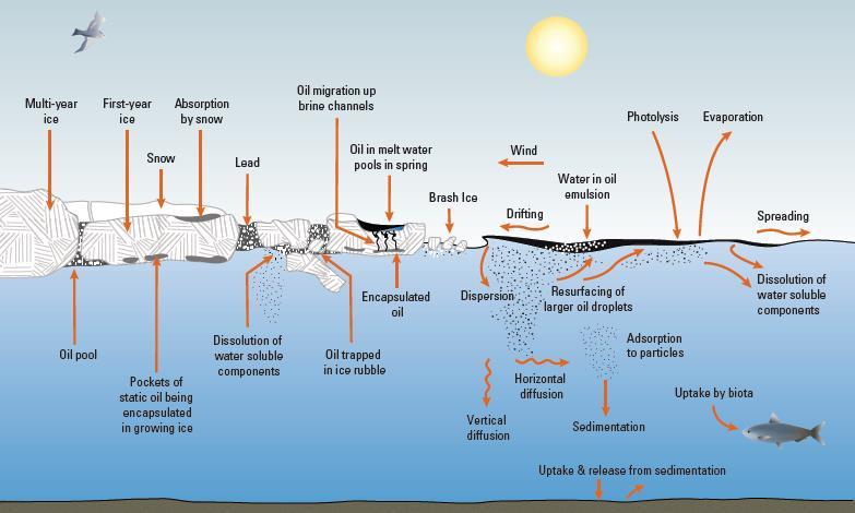 Figur 7.1 Prosesser som påvirker oljens oppførsel i kalde og isfylte farvann (kilde: NRC 2014).