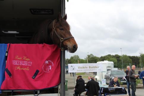 Til Veikle Balder Cup finalen hadde Veikle Balder fått med seg Lannem Silje med sitt hoppeføll Lannem Stina på stand. Dette ble gjort for å profilere våre kaldblodshelter.