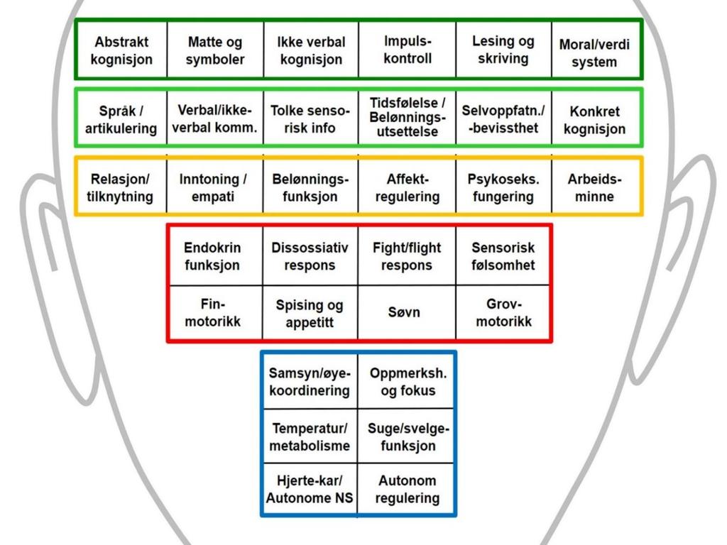 Funksjoner i prefrontal korteks Funksjoner i korteks Funksjoner i det limbiske system Funksjoner i mellomhjernen Funksjoner i hjernestammen