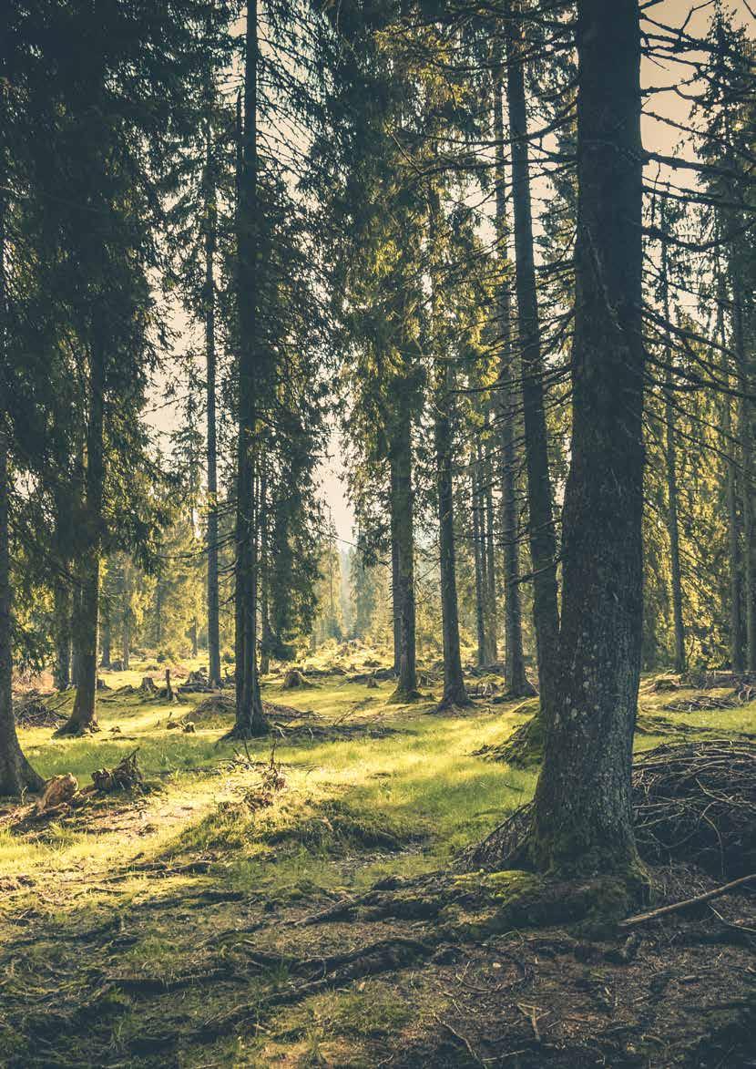 Tips! Malte ytterdører bør vokses med bilvoks minst