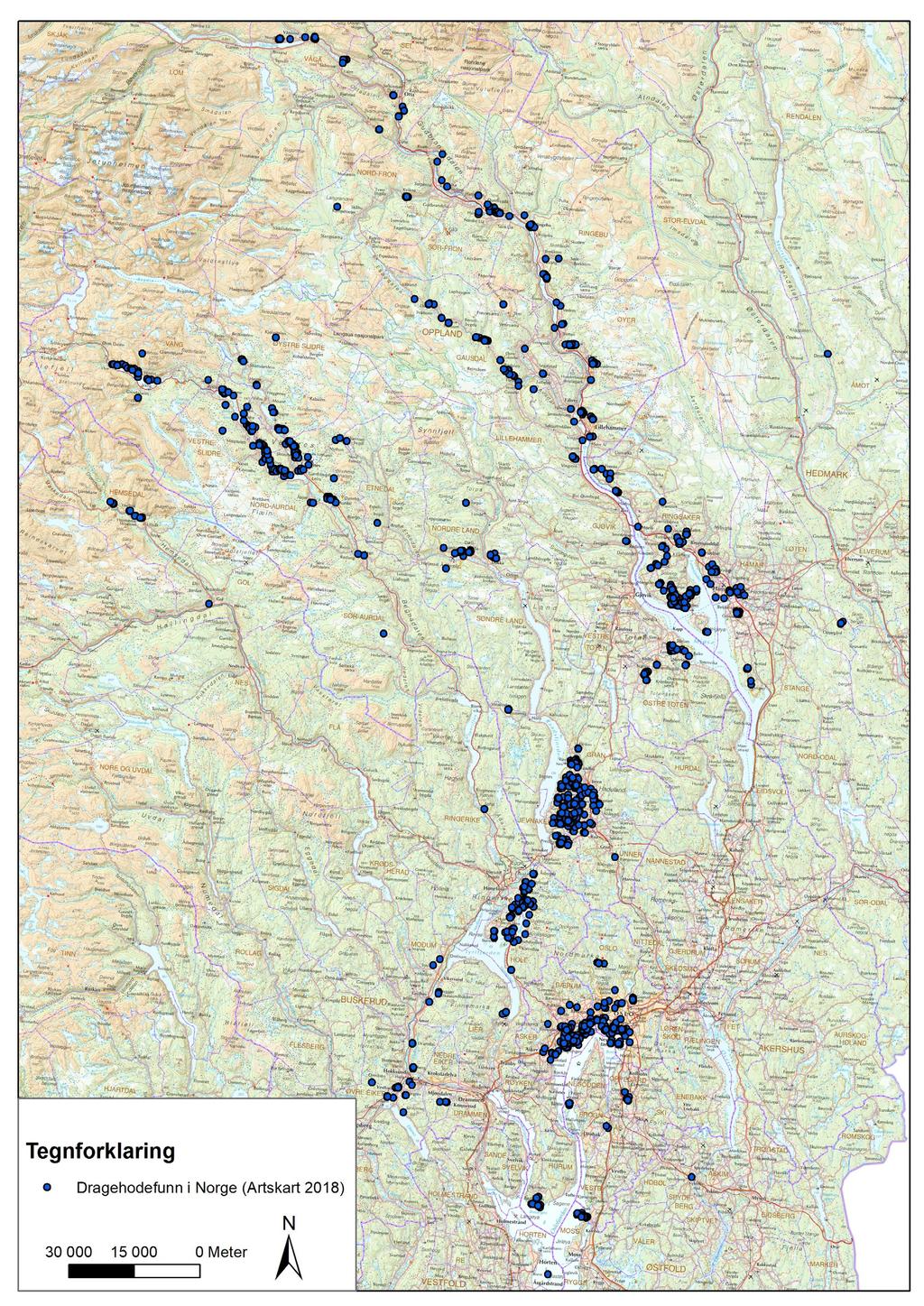 ARTENS UTBREDELSE I OPPLAND OG HEDMARK Av totalt 2914 funn som er kjent gjennom databasen Artskart er det gjort 1369 funn i Oppland og 266 i Hed mark.