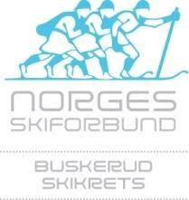 HANDLINGSPLAN 2019-2021 BUSKERUD SKIKRETS Flest mulig, lengst mulig, best mulig - en nasjon bestående av skiløpere Handlingsplan for Buskerud Skikrets 2019-2021 er en videreføring av handlingsplanen