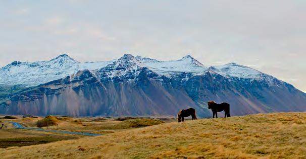 His latest journey took him to Iceland, where he spent 10 days driving around and exploring the stunning landforms and mysterious polar lights.