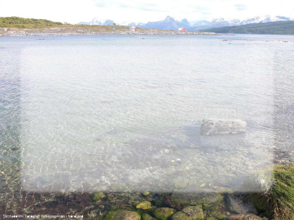 Kjerkvatnet og Nautå naturreservater Fredet ved kongelig resolusjon av 19. desember 1997 Ble RAMSAR-område 12.11.