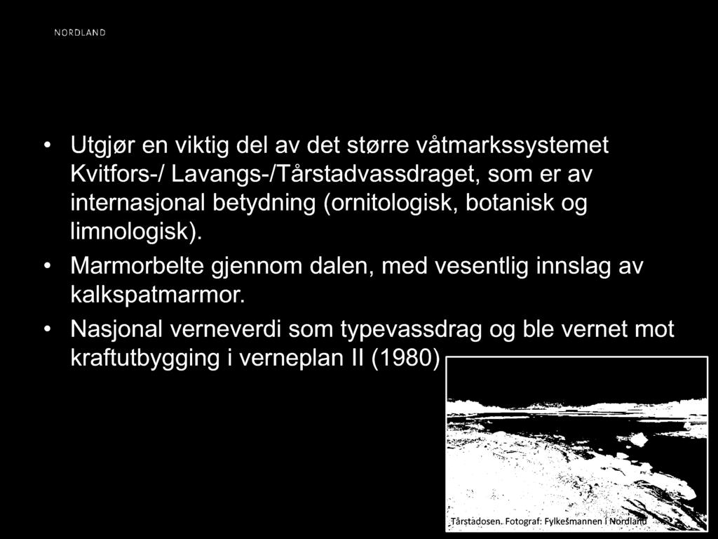 Spesielt for området Utgjør en viktig del av det større våtmarkssystemet Kvitfors-/ Lavangs-/Tårstadvassdraget, som er av internasjonal betydning (ornitologisk, botanisk og limnologisk).