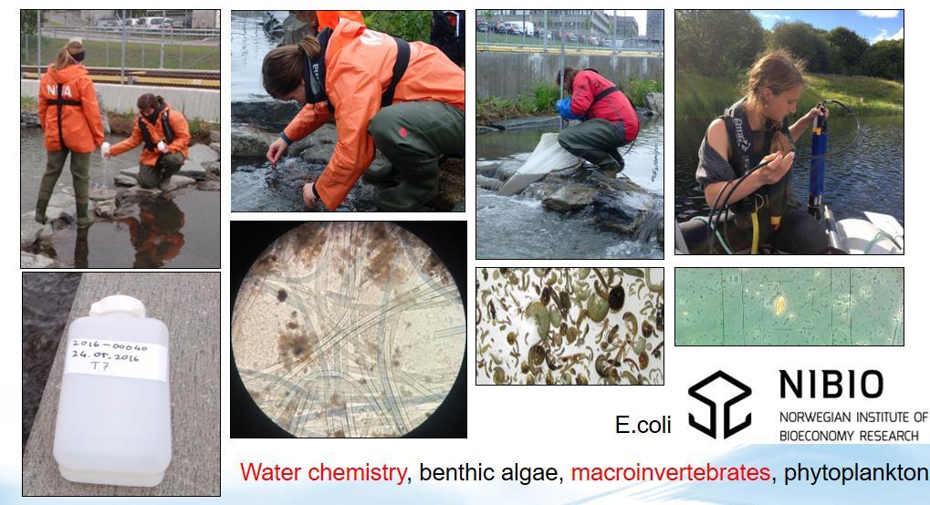 Overvåkingsparametere Vannkjemi, heterotrof begroing, begroingsalger,