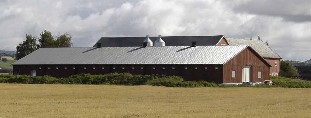 Det tradisjonsrike valget Gjennom hele Norges historie har tre vært det tradisjonelle og dominerende byggematerialet.