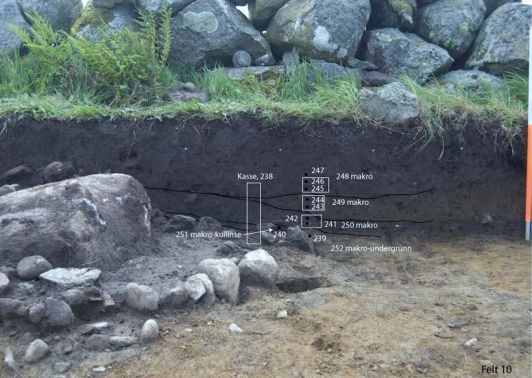 Fig. 4: Dyrkingslag ved rydningsrøys, felt 10, med uttak av pollenprøver og makrofossilprøver avmerket. Original profiltegning er vedlagt (vedlegg 2). Fotogrunnlag: Theo Gil Bell.