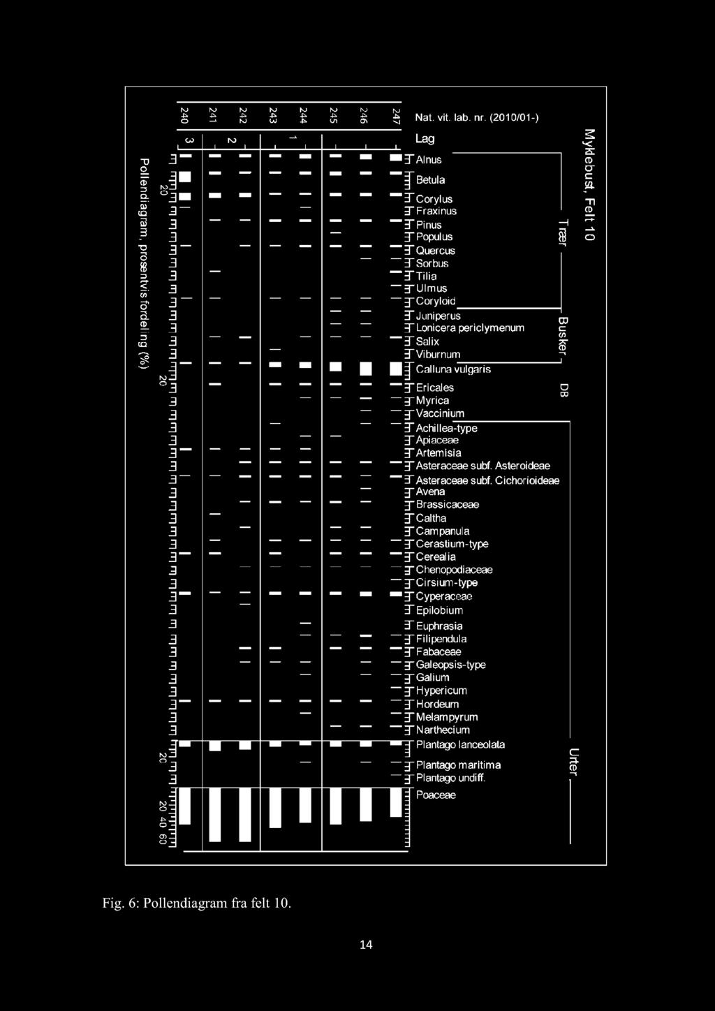 Fig. 6: