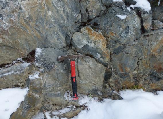 Bergmassen nord for søkket fremstår som noe lysere og mer grovkornet sammenliknet med bergmassen sør for søkket. Figur 6: Blotning langs skogsveg ca. ved profil 1400. Finkornet og grå siltstein.