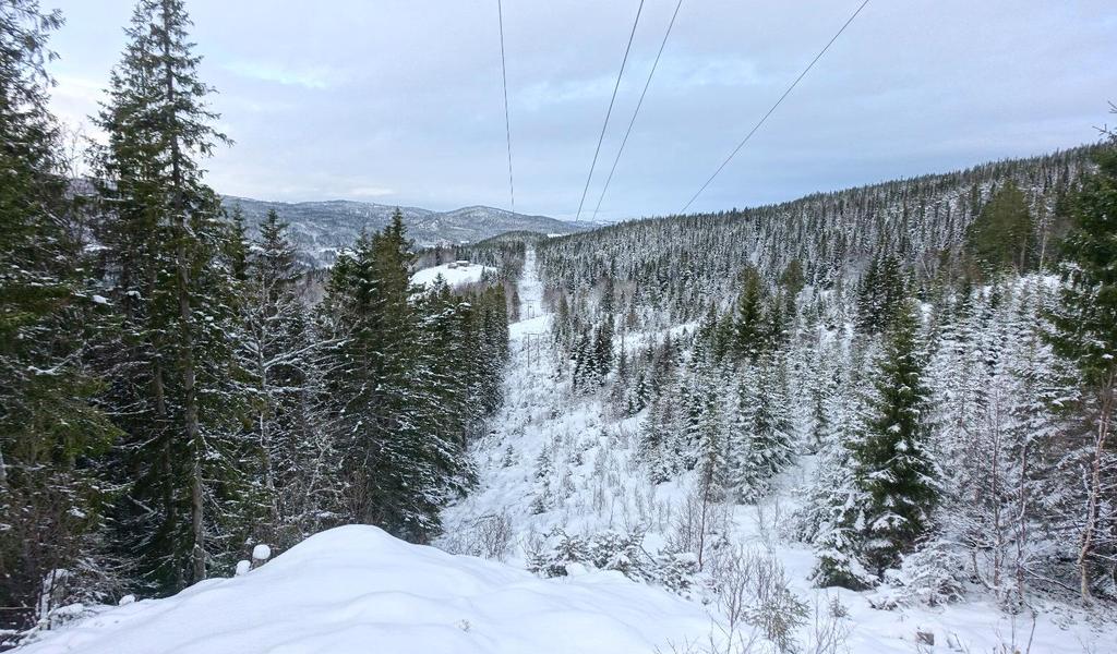 Grovblokkig bergmasse oppsprukket etter tre markerte hovedsprekkesett.