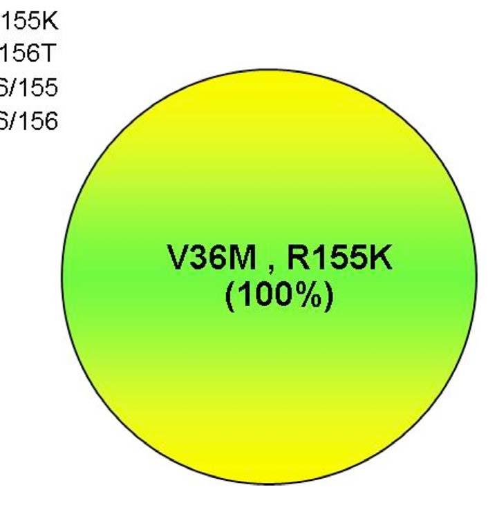 Example: determination of sensitivity and linkage using Ph 1clonal analysis Clonal Analysis 36/156 (4%) V36M
