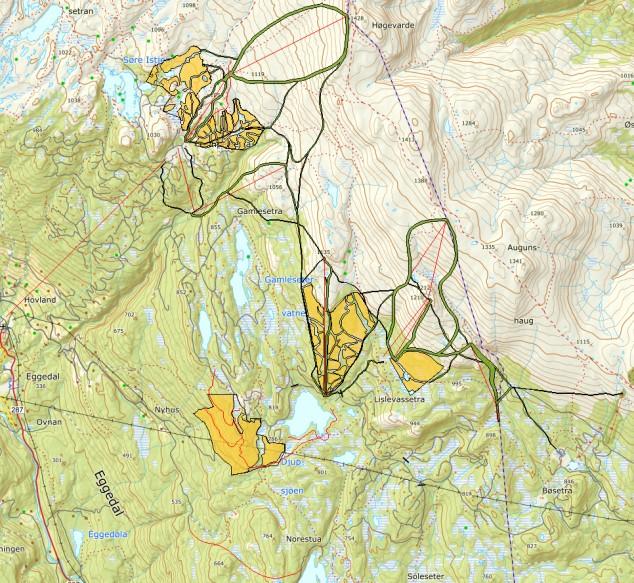 OMRÅDE: Tempelseter ST 56 T1 T4, D1-D3 og B1 Tempelseter - Djupsjøen Gbnr.