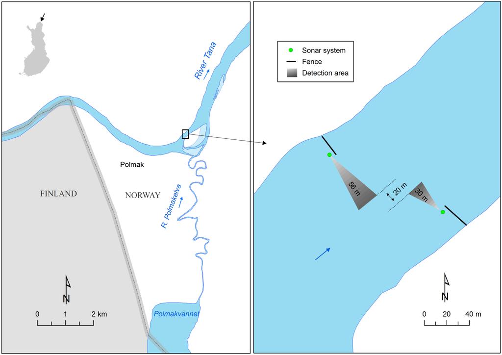 Figur 11. Kart over Tanaelva med sonartellelokaliteten, inkludert plassering av sonarene og ledegjerdene.