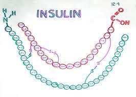 INSULINTYPER Type insulin Hurtigvirkende insulinanalog Middels langtidsvirkende insulin (NPH) Blanding av hurtigvirkende insulinanalog og NPH Langtidsvirkende insulinanalog Handelsnavn Humalog (L)