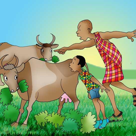 Ein morgon tok Odongo kyrne til bestemor si ut for å beita. Dei sprang inn på garden til ein nabo. Bonden vart sint på Odongo.