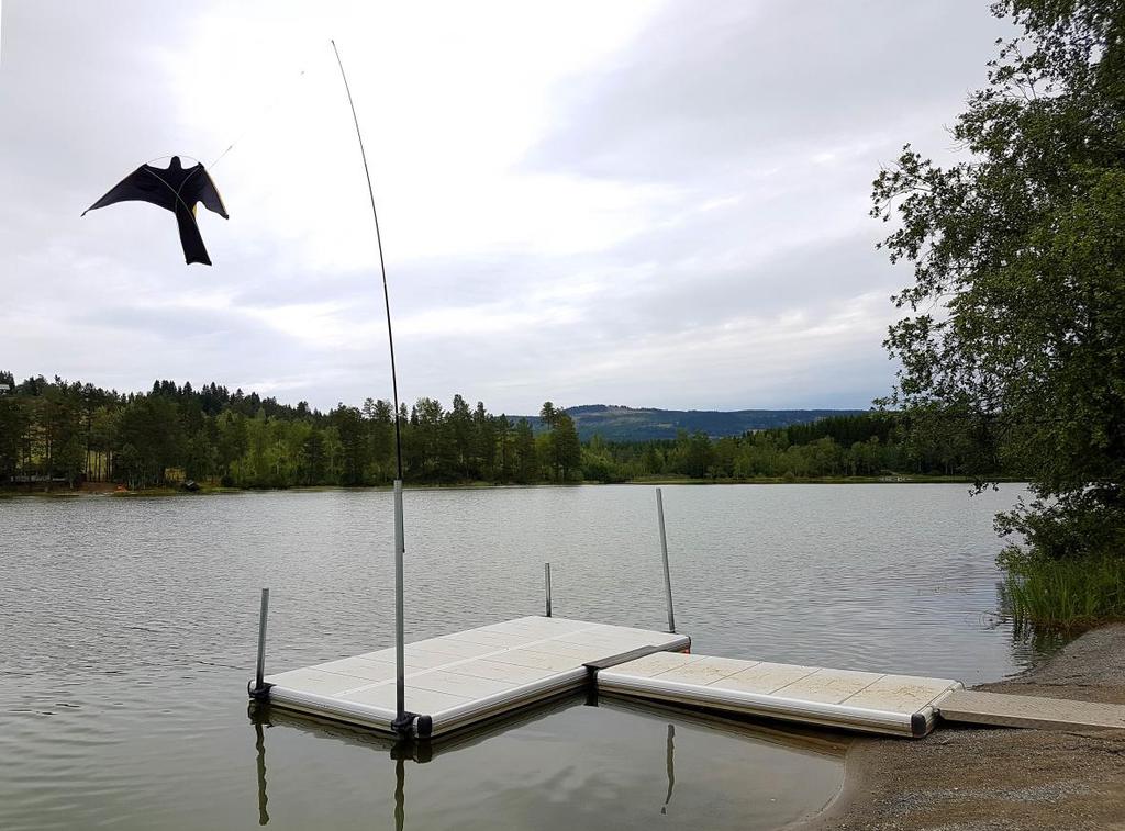 Fig. 2. Fugleskremsel på badebrygge i Skonnolstjernet.