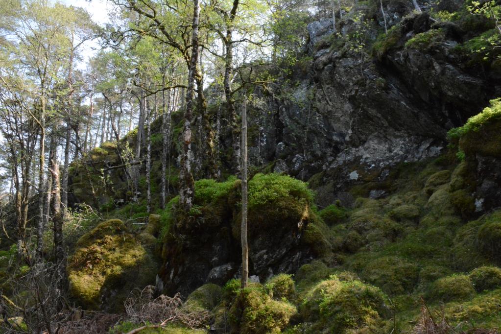 Bilder fra området Strøno sør -