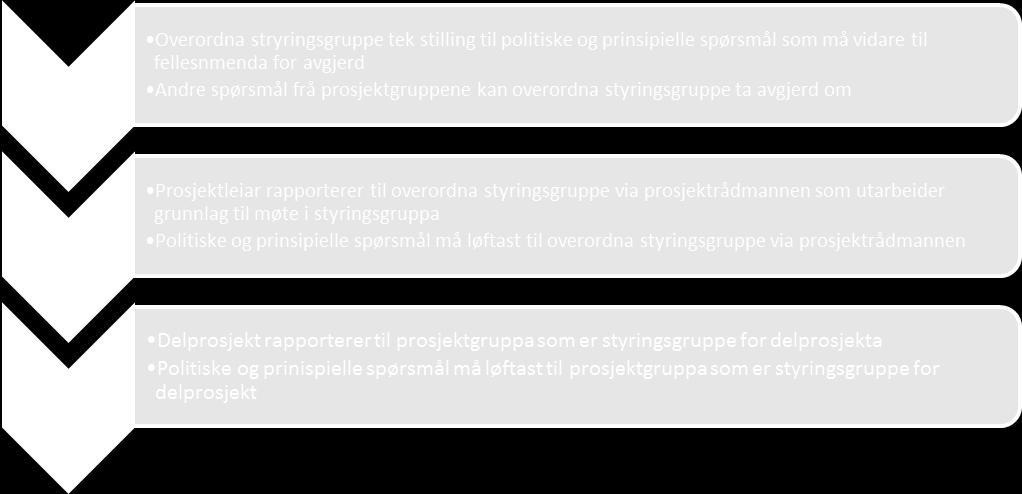 3 Prinsipp for organisering av delprosjekt Delprosjektleiar har mynde til å organisera arbeidet på ein tenleg måte som gir framdrift og resultat i tråd med milepelsplan.