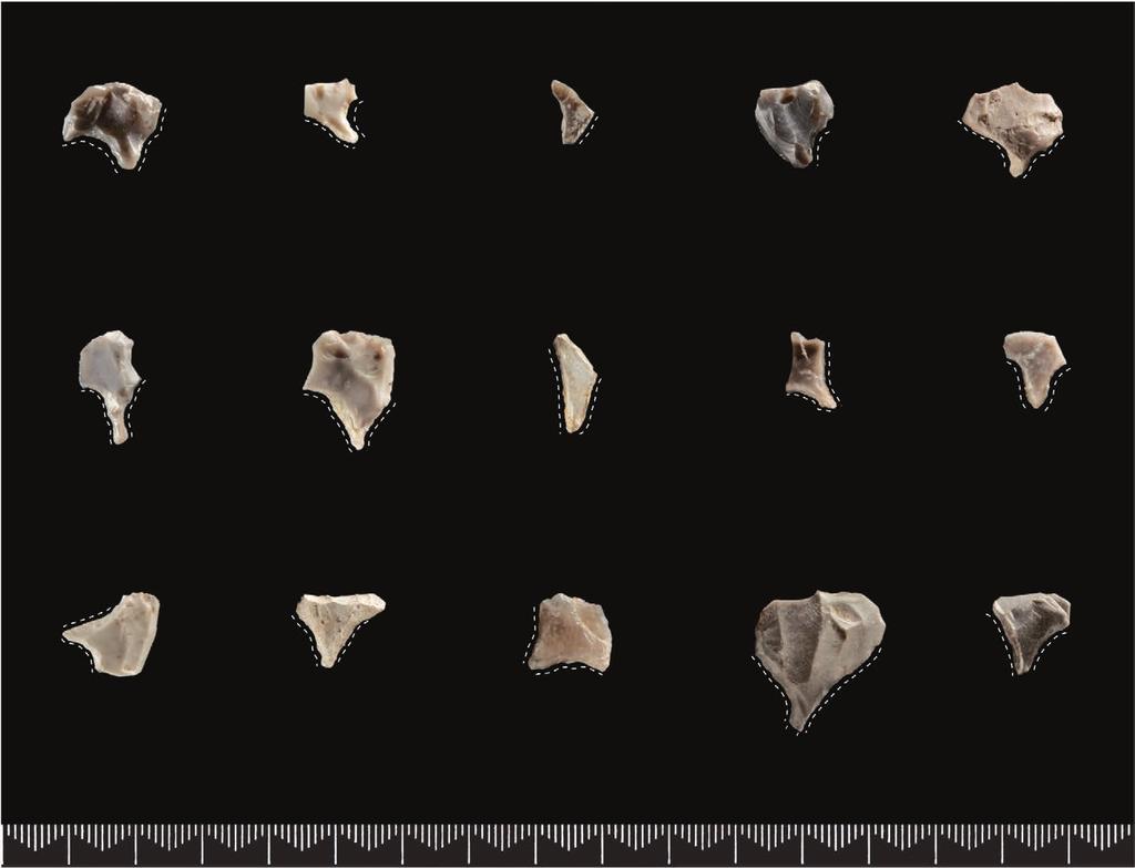 10. solum 2 og solum 3 265 Figur 10.10. Et utvalg nøklegårdspisser fra Solum 3. Formvariasjonen er stor. Foto: Ellen C. Holte, KHM. Figure 10.10. A selection of Nøklegård points from Solum 3.