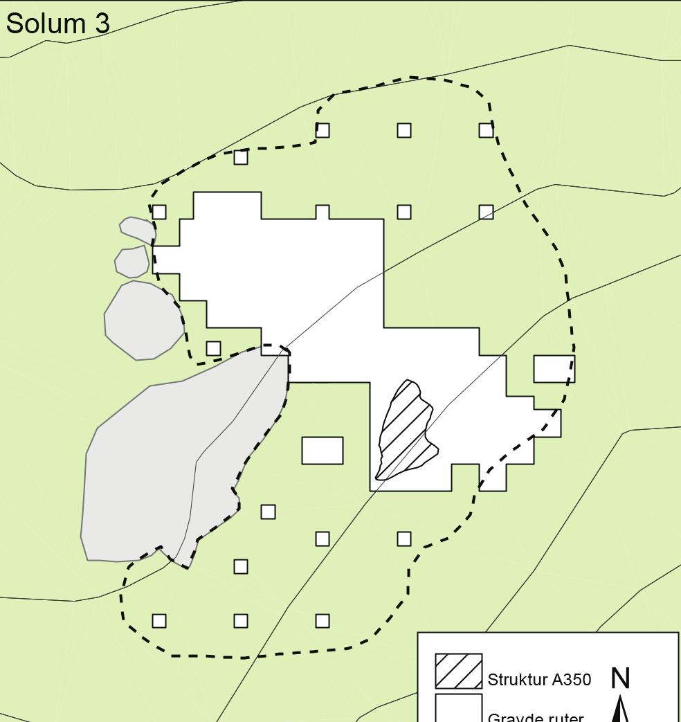 Solum 3. Figure 10