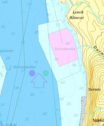 Utvidelse av A- og AF-område Konsekvensutredning Nåværende status Verdi Omf. Kons. Vurdering av konsekvensene Naturvernområder Ingen naturvernområder i eller nært området.