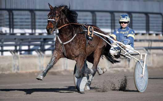 GRATIS INNGANG anekode: 01 Varmingsinfo fra Ole onny Solberg ERKEANEN Nr 30/2019 Kr 25 Orlando Classic/Kristian Malmin. Foto: hesteguiden.com www.bjerke.no Onsdag 10.