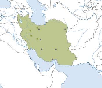 Artikel 110 der Verfassung erlaubt dem Rahbar, sämtliche Entscheidungen und Handlungen des Staatsapparates, also auch Wahlen, zu kontrollieren und auf ihre Übereinstimmung mit dem Islam zu prüfen.