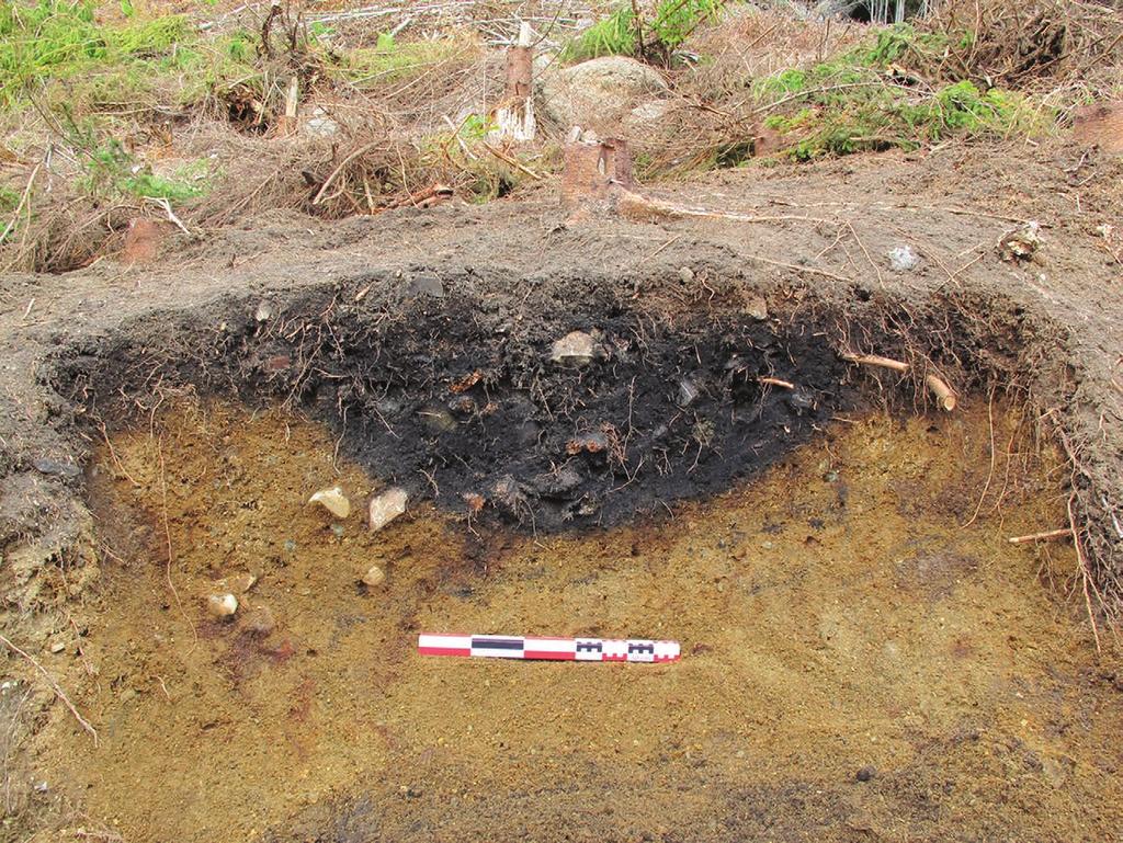 14.6. langangen vestgård 7 393 Figur 14.6.4. Profil gjennom kokegropa på lokaliteten. Fotomålestokk 0,5 m. Sett mot nordøst. Figure 14.6.4. The cooking pit at Langangen Vestgård 7, photo facing north-east.