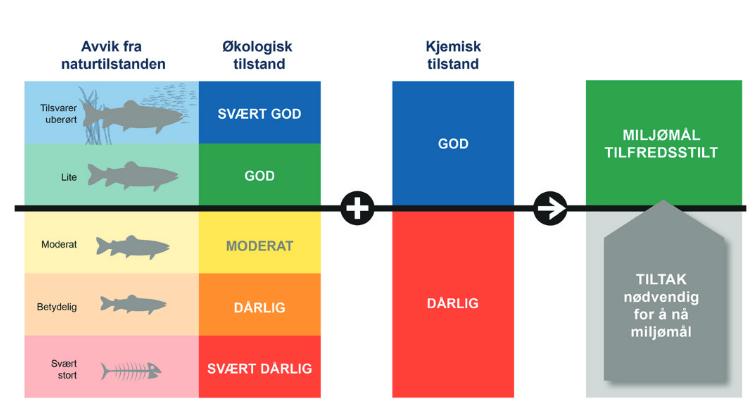 4 Metode og materiale 4.