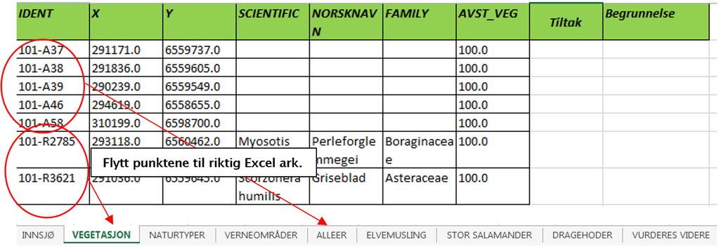 Steg 3: Tilpass og kvalitetssikre data Bruk sortèr og filtrèr knappen i kolonne «AVST_VEG» i Excel for å fjerne alle vegetasjonspunkter med avstand mer enn 200m, deretter kopier de punktene som er