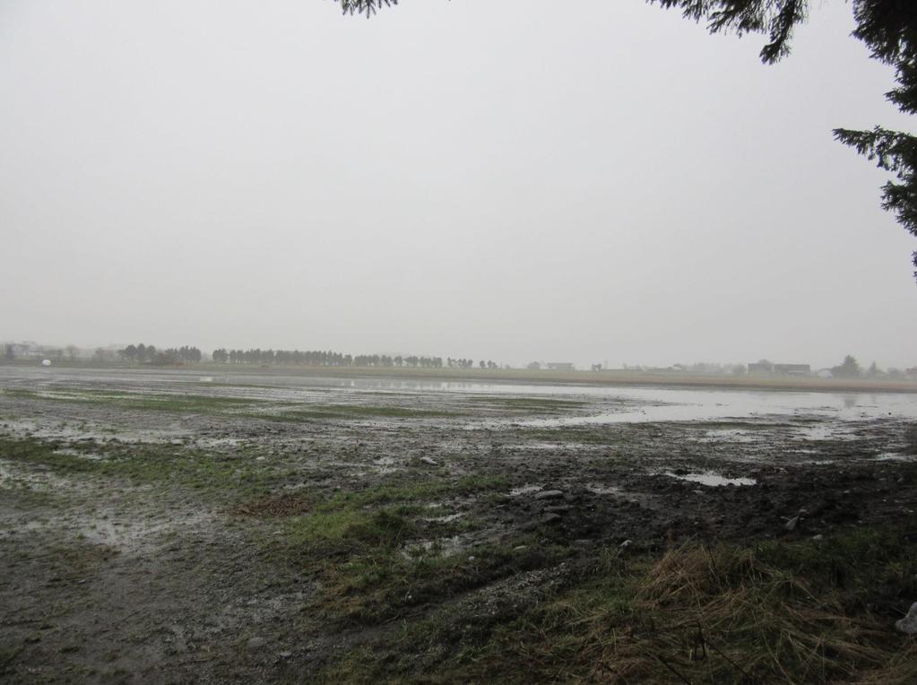 jordbrukslandskapet. Med eksempler fra Jæren.