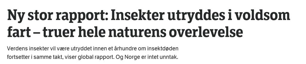 NRK 13.