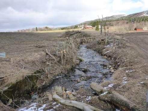 det opprettholdes et begrenset naturlig vegetasjonsbelte