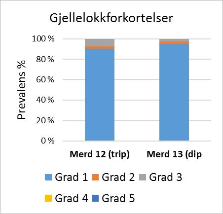 Det var lite lakselus, men 153 skottelus ble funnet på 40 triploide fisk, mot 83 på 40 diploide fisk. Neste uttak på denne fisken blir i desember, da med 20 fisk per merd.