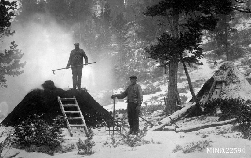 Husholdet som arbeidsfellesskap Gårdmann - bonde Selveier eller leilending Jordbruket som grunnlag Innenfor sirkumferensen: Kullbrenning Plikt til kjøring: Frakting av malm og ved til