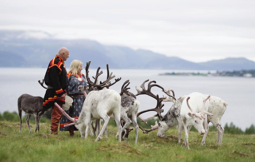 Ut på vidda hvorfor det? FINNMARK status TROMS TRØNDELAG Reindriftsfylkene er Finnmark, Troms, Nordland og Trøndelag/Hedmark, disse har til sammen om lag 140 kommuner.