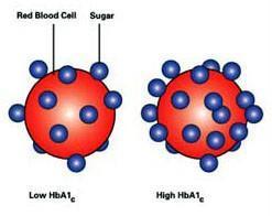Diagnostikk HbA1c HbA1c = langtidssukker Glukose (sukker) bindes til hemoglobin.