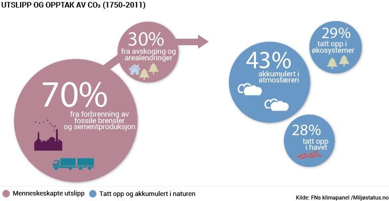 Mer nedbør på grunn av klimaendringer kan føre til flere og større flommer. Bildet viser storflommen i Røyken kommune i Buskerud høsten 2015. Foto: Kim Abel, Naturarkivet.