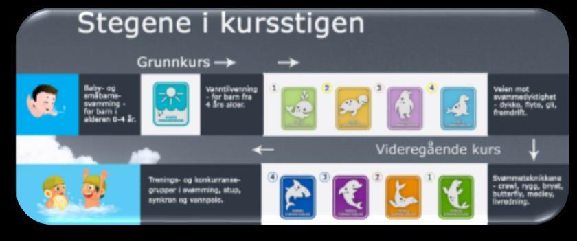 SVØMMESKOLEN I 2018 har vi hatt et belegg på 1.456 kursplasser til barn i alderen 0-13 år fordelt på 3 kursrunder og 10 forskjellige nivåer. 45 deltagere gått på voksenkurs.