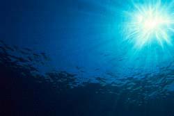 The deep ocean is characterized by an area where sunlight begins to disappear. Because of this, primary production is limited. What process is missing?