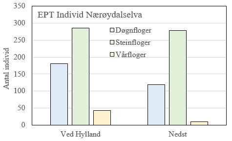 BOTNDYR Botndyrfaunaen var ikkje særleg individrik, sjølv om det ikkje er samla inn kvantitativt.