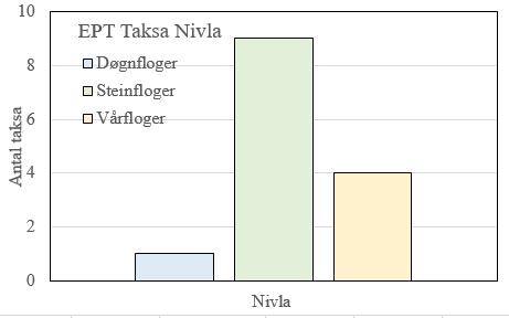 antal individ av døgnfluger (E), steinfluger (P) og vårfluger (T) (til venstre) og antal taxa av dei same tre EPT-gruppene (til høgre) nedst i Nivla hausten 2017.