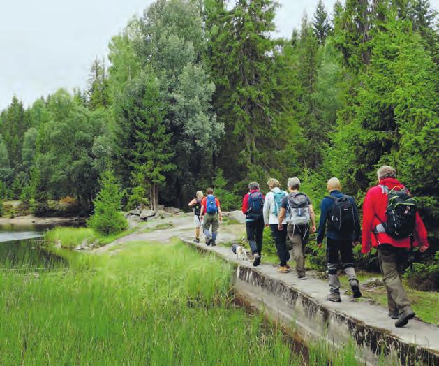 VIRKSOMHETSRAPPORT 26 27 LOKALE FRIVILLIGE GRUPPER De lokale gruppene gjør en stor dugnadsinnsats, med planlegging og gjennomføring av turer gjennom hele året.